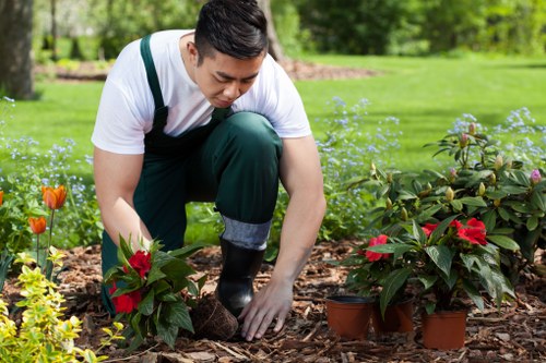 Expert gardener working on a vibrant garden in Willesden